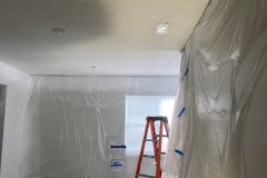 MIGUEL'S DRYWALL AND FINISH LLC