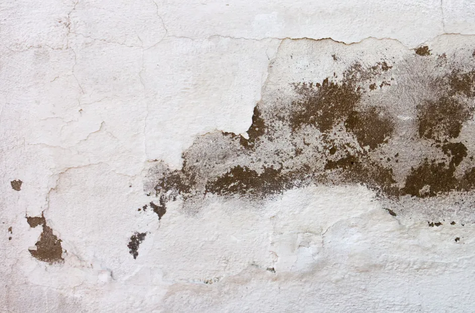 Water Damaged Drywall